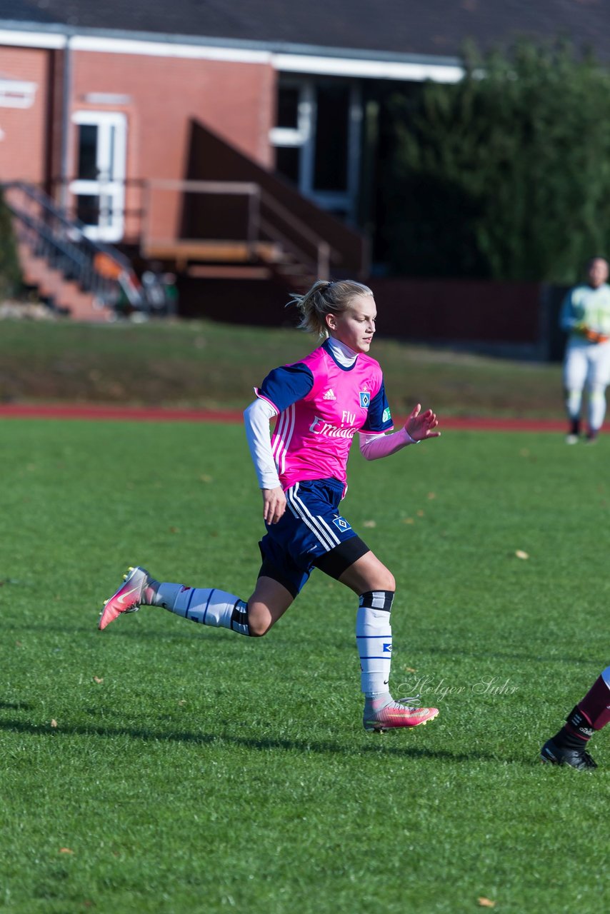 Bild 316 - B-Juniorinnen Halstenbek-Rellingen - Hamburger SV 2 : Ergebnis: 3:8